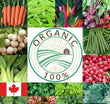 Organic Seeds Fall Vegetable Variety Pack Canada