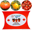Tomato Seeds Trio Mini Variety Pack Canada