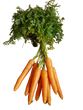 Carrot - Nantes Organic