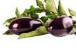 Eggplant - Organic Black Beauty