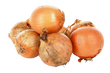 Onion - Organic Walla Walla